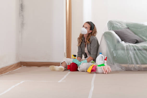 Reliable Mold Remediation contractor in Nunica, MI by Cheap Mold Removal